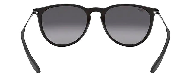 Ray-Ban RB4171 622/8G Round Sunglasses