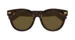 HAVANA / BROWN