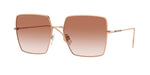 133713 - Rose Gold / Gradient Pink