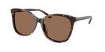 512073 - Dark Tortoise / Dark Brown