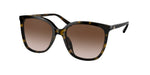 300613 - Dark Tortoise / Brown Gradient