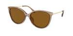 3938T5 - Brown Transparent / Brown Gradient Polarized