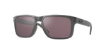 9102B5 - Steel / Prizm Daily Polarized