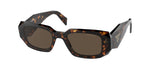 2AU8C1 - Tortoise / Brown