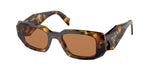 VAU2Z1 - Honey Tortoise / Dark Brown