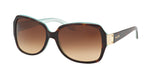 601/13 - Havana / Gradient Brown