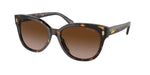 500313 - Black Havana / Gradient Brown