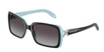 80553C - Black On Tiffany Blue / Grey Gradient