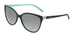 80553C - Black On Tiffany Blue / Grey Gradient