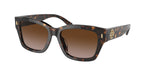 172813 - Dark Tortoise / Brown Gradient