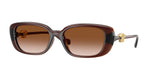533213 - Transparent Brown / Brown Gradient