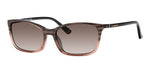 V1HA - YV1HA BK STRPNK / HA BROWN SHADED