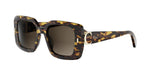 24F1 - Acetate Shiny Havana with Brown Gradient lenses /