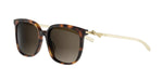 20F1 - Acetate Shiny Havana with Brown Gradient lenses /