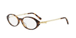 2000 - Acetate Shiny Havana /