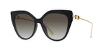 01F - Metal Shiny Black / Brown