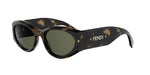 55N - Acetate Shiny Havana with Green Normal lenses /