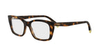 053 - Acetate Shiny Havana /