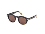 64E - Coloured Horn / brown