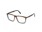 052 - Dark Havana /