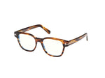 050 - Shiny Dark Brown /