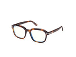 053 - Blonde Havana /