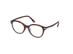 054 - Red Havana /