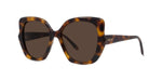 52E - Acetate Shiny Havana with Brown Normal lenses /