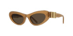 50E - Acetate Shiny Brown with Brown Normal lenses /