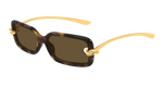 HAVANA / GOLD / BROWN
