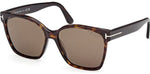 52H - Dark Havana / brown polarized