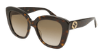 HAVANA / BROWN