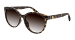 HAVANA / BROWN