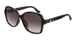HAVANA / BROWN