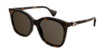 HAVANA / BROWN
