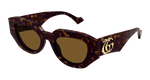 HAVANA / BROWN