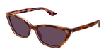 HAVANA / VIOLET