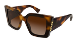 HAVANA / BROWN