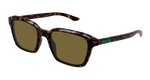 HAVANA / BROWN