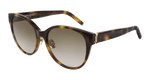 HAVANA / BROWN