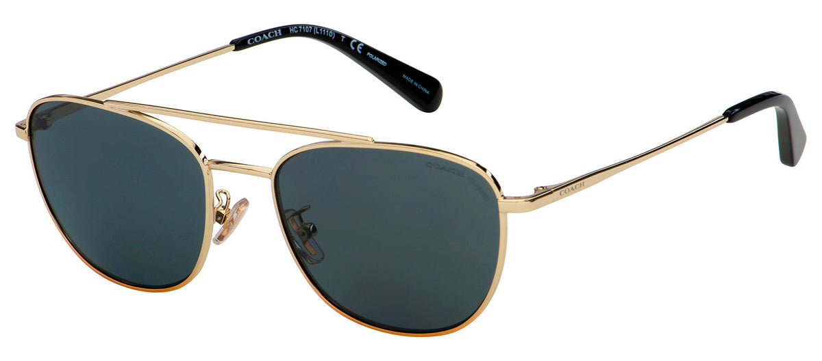 Coach polarized 2024 aviator sunglasses