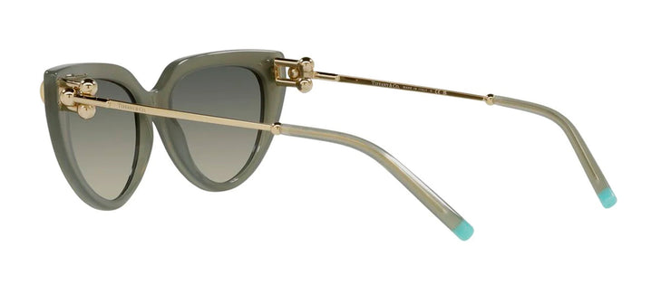 Tiffany & Co. 0TF4195 835811 Cat Eye Sunglasses