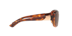 904103 - Shiny Tortoise Fade / Copper