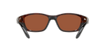 905415 - Tortoise / Green Mirror