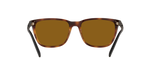 277083 - Dark Havana / Brown Polarized