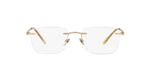 3002 - Matte Pale Gold / Demo Lens