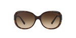 502613 - Havana / Brown Gradient
