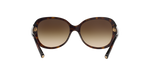 502613 - Havana / Brown Gradient
