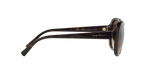 502613 - Havana / Brown Gradient