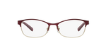 6050 - Red & Shiny Pale Gold / Demo Lens